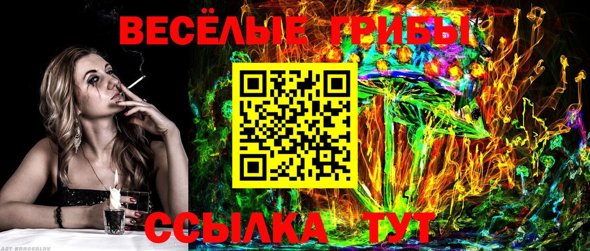 Псилоцибиновые грибы Psilocybe Туймазы