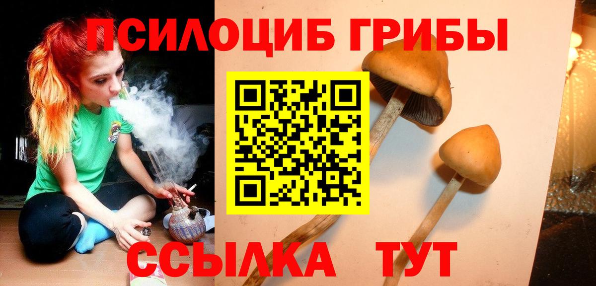 Псилоцибиновые грибы прущие грибы  Галлюциногенные грибы Cubensis  Туймазы  Вход с VPN 